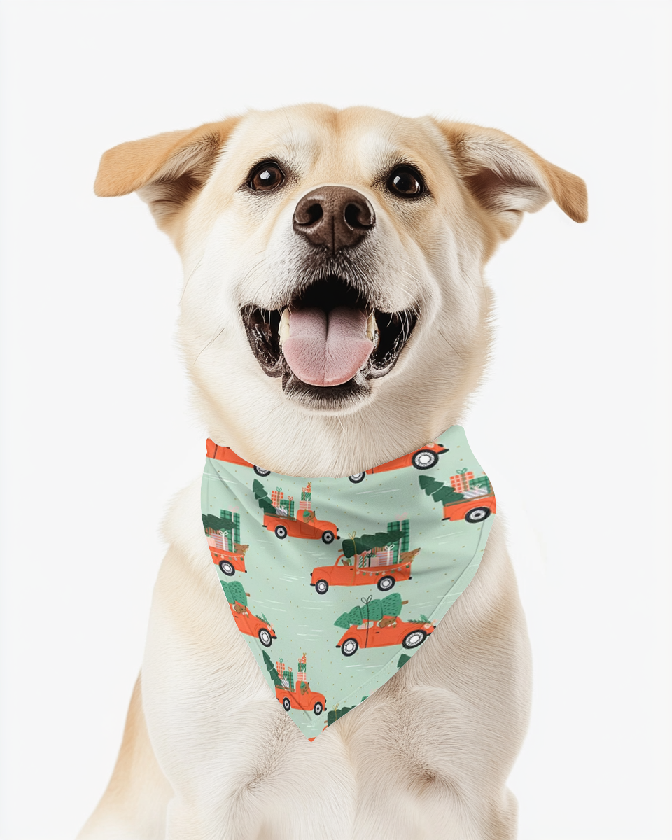 Paws on the Nice List Pet Bandana